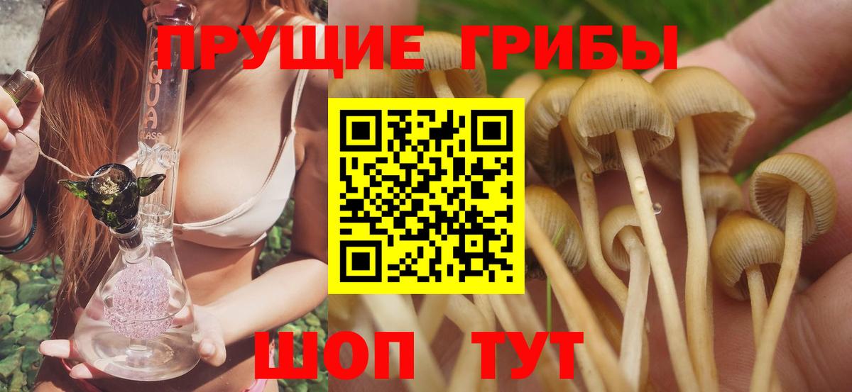 Галлюциногенные грибы Psilocybe Миасс